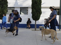 Activists receive dogs that are rescued from a shelter in Mexico City, Mexico, on December 13, 2024, after 17 days of uncertainty. The capit...