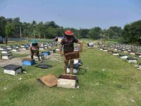 Beekeepers examine honeycombs from a beehive at a honeybee farm near a mustard field in Morigaon district in Assam, India, on December 9, 20...