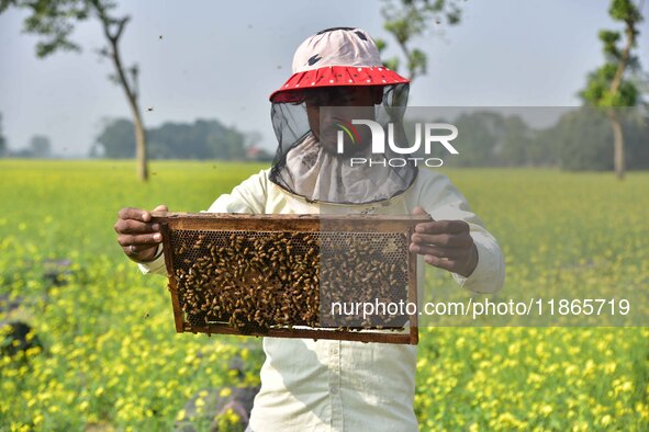 A beekeeper examines honeycombs from a beehive at a honeybee farm near a mustard field in Morigaon district, Assam, India, on December 9, 20...