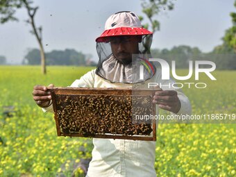 A beekeeper examines honeycombs from a beehive at a honeybee farm near a mustard field in Morigaon district, Assam, India, on December 9, 20...