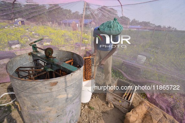 A beekeeper scrapes raw honey from a rack of a beehive at a farm near a mustard field in Morigaon district, Assam, India, on December 9, 202...