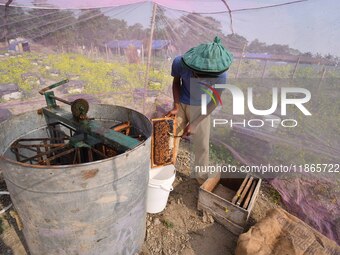 A beekeeper scrapes raw honey from a rack of a beehive at a farm near a mustard field in Morigaon district, Assam, India, on December 9, 202...