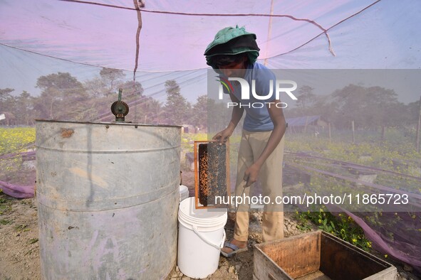 A beekeeper scrapes raw honey from a rack of a beehive at a farm near a mustard field in Morigaon district, Assam, India, on December 9, 202...