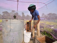 A beekeeper scrapes raw honey from a rack of a beehive at a farm near a mustard field in Morigaon district, Assam, India, on December 9, 202...