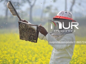 A beekeeper examines honeycombs from a beehive at a honeybee farm near a mustard field in Morigaon district, Assam, India, on December 9, 20...