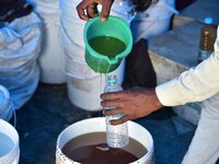 Raw honey is poured into a large storage can on the farm near a mustard field in Morigaon district, Assam, India, on December 9, 2024. (