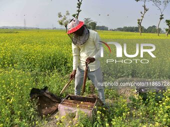 A beekeeper examines honeycombs from a beehive at a honeybee farm near a mustard field in Morigaon district, Assam, India, on December 9, 20...