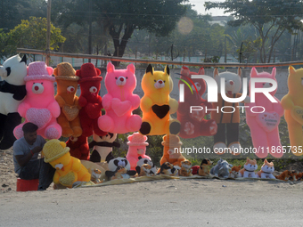 A roadside seller sells soft toys in Siliguri, India, on December 14, 2024. (