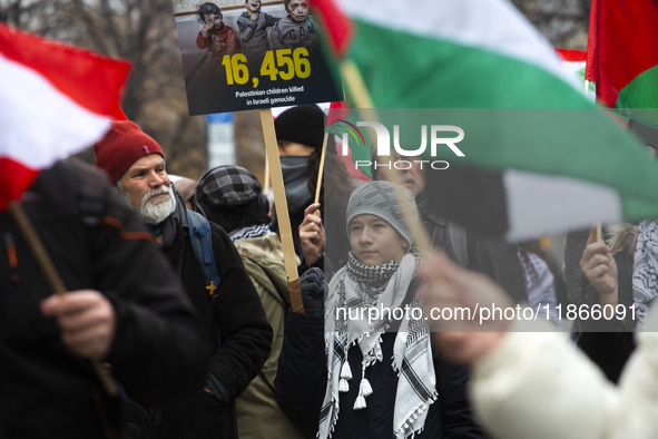 A demonstration in support of Lebanon and Palestine takes place in Sofia, Bulgaria, on December 14, 2024. 