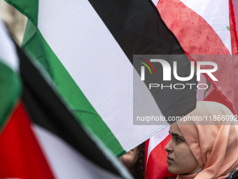 A demonstration in support of Lebanon and Palestine takes place in Sofia, Bulgaria, on December 14, 2024. (