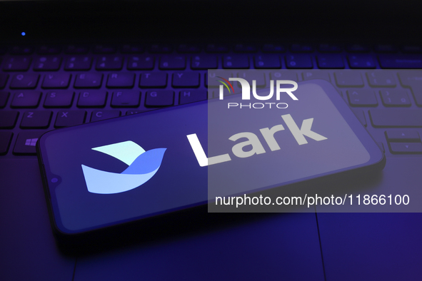 The Lark logo appears on the screen of a smartphone in Reno, United States, on December 14, 2024. (Photo Illustration by Jaque Silva/NurPhot...