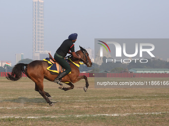 An Indian army soldier demonstrates his skills with his horse during the full dress rehearsal ahead of ''Vijay Diwas'', a ceremony to celebr...