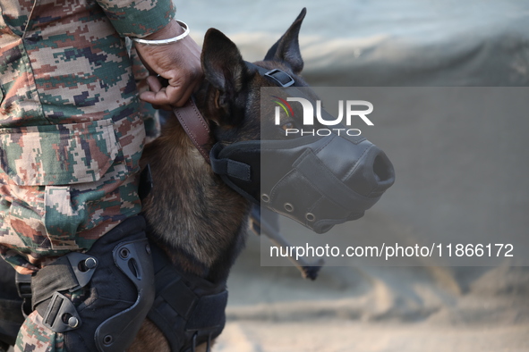 An Indian army soldier with his pet dog performs a skill during the full dress rehearsal ahead of ''Vijay Diwas,'' a ceremony to celebrate t...