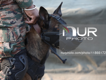 An Indian army soldier with his pet dog performs a skill during the full dress rehearsal ahead of ''Vijay Diwas,'' a ceremony to celebrate t...