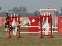 An Indian army dog performs a skill during the full dress rehearsal ahead of ''Vijay Diwas,'' a ceremony to celebrate the liberation of Bang...