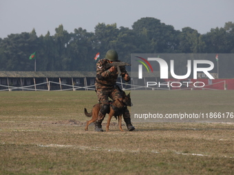 An Indian army soldier with his pet dog performs a skill during the full dress rehearsal ahead of ''Vijay Diwas'', a ceremony to celebrate t...