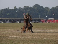 An Indian army soldier with his pet dog performs a skill during the full dress rehearsal ahead of ''Vijay Diwas'', a ceremony to celebrate t...