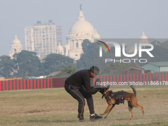 An Indian army soldier with a dog performs a skill during the full dress rehearsal ahead of ''Vijay Diwas,'' a ceremony to celebrate the lib...