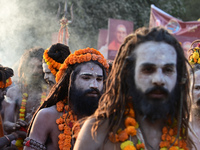 Hindu sadhus (holy men) from the Juna Akhara take part in a religious procession towards the Sangam area during the first entry for the Maha...