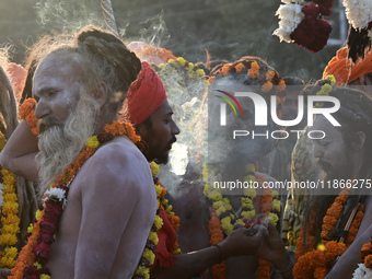 Hindu sadhus (holy men) from the Juna Akhara take part in a religious procession towards the Sangam area during the first entry for the Maha...