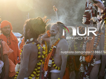 Hindu sadhus (holy men) from the Juna Akhara take part in a religious procession towards the Sangam area during the first entry for the Maha...