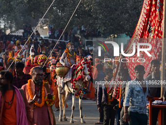 Hindu sadhus (holy men) from the Juna Akhara take part in a religious procession towards the Sangam area during the first entry for the Maha...