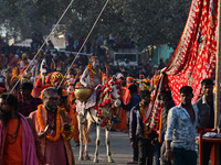 Hindu sadhus (holy men) from the Juna Akhara take part in a religious procession towards the Sangam area during the first entry for the Maha...