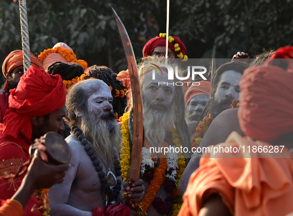 Hindu sadhus (holy men) from the Juna Akhara take part in a religious procession towards the Sangam area during the first entry for the Maha...