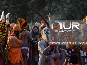 Hindu sadhus (holy men) from the Juna Akhara take part in a religious procession towards the Sangam area during the first entry for the Maha...