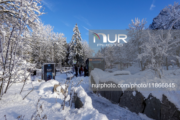 Passengers wait for the bus to Grainau amidst the snowy landscape at Lake Eibsee in Bavaria, Germany, on December 13, 2024. A group of peopl...