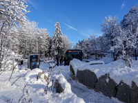 Passengers wait for the bus to Grainau amidst the snowy landscape at Lake Eibsee in Bavaria, Germany, on December 13, 2024. A group of peopl...