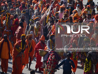 Hindu sadhus (holy men) from the Juna Akhara take part in a religious procession towards the Sangam area during the first entry for the Maha...