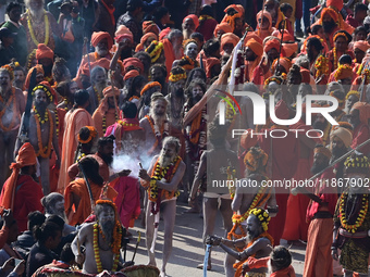 Hindu sadhus (holy men) from the Juna Akhara take part in a religious procession towards the Sangam area during the first entry for the Maha...