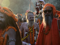 Hindu sadhus (holy men) from the Juna Akhara take part in a religious procession towards the Sangam area during the first entry for the Maha...