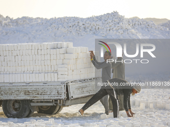 Labourers work at the ''White Mountain'' limestone extraction quarry site near Minya, Egypt, on December 14, 2024. Covered in fine white dus...