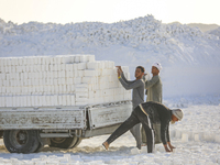 Labourers work at the ''White Mountain'' limestone extraction quarry site near Minya, Egypt, on December 14, 2024. Covered in fine white dus...