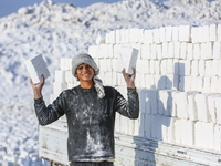 Labourers work at the ''White Mountain'' limestone extraction quarry site near Minya, Egypt, on December 14, 2024. Covered in fine white dus...