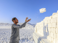 Labourers work at the ''White Mountain'' limestone extraction quarry site near Minya, Egypt, on December 14, 2024. Covered in fine white dus...