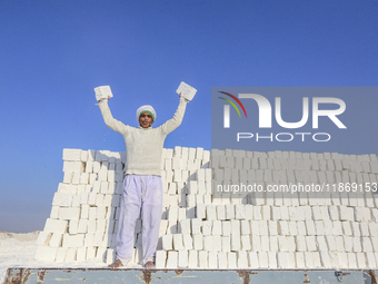 Labourers work at the ''White Mountain'' limestone extraction quarry site near Minya, Egypt, on December 14, 2024. Covered in fine white dus...