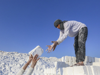 Labourers work at the ''White Mountain'' limestone extraction quarry site near Minya, Egypt, on December 14, 2024. Covered in fine white dus...