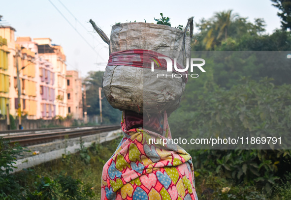 A person covers his face with a blanket while carrying a huge bag on his head on an early winter morning in Kolkata, India, on December 15,...