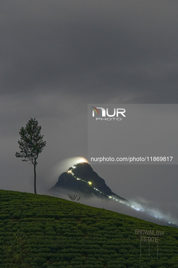 Lights illuminate the Adams Peak (Sri Pada) mountain during the season in Maskeliya, Sri Lanka, on December 14, 2024. It is well known for t...