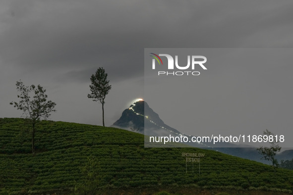 Lights illuminate the Adams Peak (Sri Pada) mountain during the season in Maskeliya, Sri Lanka, on December 14, 2024. It is well known for t...