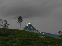 Lights illuminate the Adams Peak (Sri Pada) mountain during the season in Maskeliya, Sri Lanka, on December 14, 2024. It is well known for t...