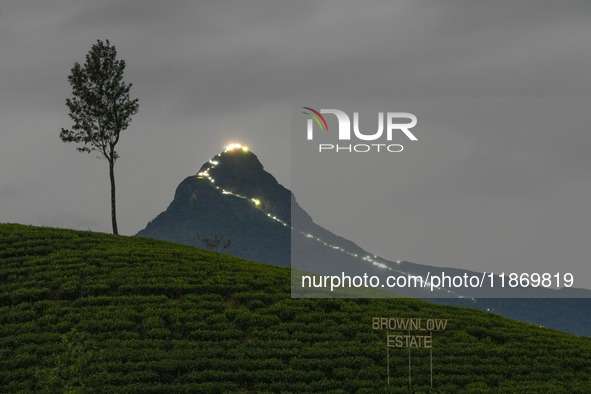 Lights illuminate the Adams Peak (Sri Pada) mountain during the season in Maskeliya, Sri Lanka, on December 14, 2024. It is well known for t...