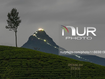 Lights illuminate the Adams Peak (Sri Pada) mountain during the season in Maskeliya, Sri Lanka, on December 14, 2024. It is well known for t...