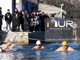 Winter swimming enthusiasts swim in the natural waters of Heilong Cave in Handan, China, on December 15, 2024. (