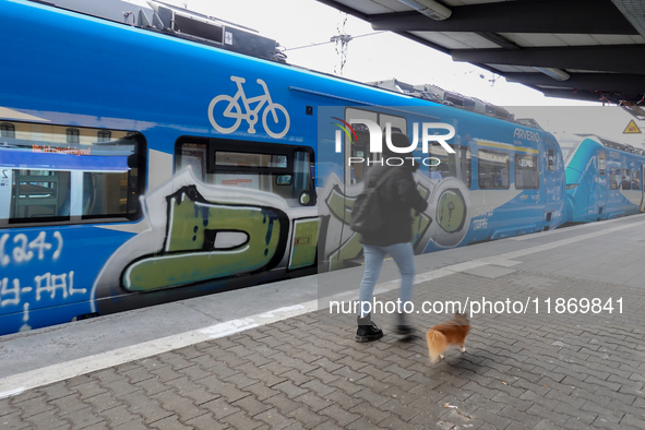 A passenger with a dog stands near an Arverio train at Augsburg Central Station in Bavaria, Germany, on December 14, 2024. 