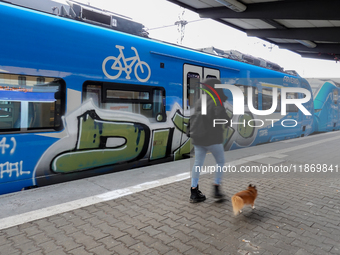 A passenger with a dog stands near an Arverio train at Augsburg Central Station in Bavaria, Germany, on December 14, 2024. (