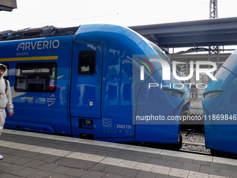 A passenger stands near an Arverio train at Augsburg Central Station in Bavaria, Germany, on December 14, 2024. (